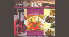 Desktop Screenshot of caichicago.com